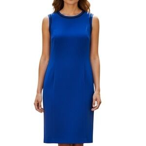 Peter Nygard Sheath Dress Size 6 Blue Sleeveless Career Office Minimalist Classy